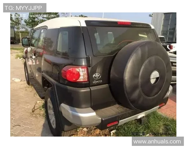 武汉排球队在洲际杯积分榜上以62分稳居第一名,展现强劲实力 武汉排球队在洲际杯积分榜上以62分稳居第一名,展现强劲实力