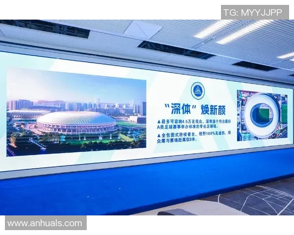 深圳足球队的运营策略深度分析与未来发展展望
