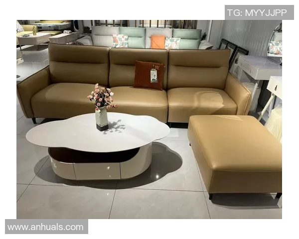 足球明星沙发推荐男士专属舒适休闲家具选择指南