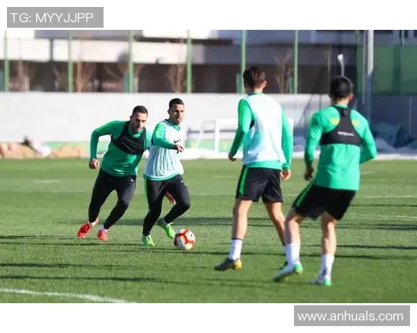 网球深度：解密重庆网球队的节奏