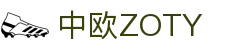 中欧ZOTY - 中国有限公司官方网站，中欧合作典范